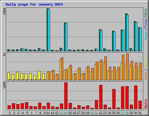 Daily usage for January 2024