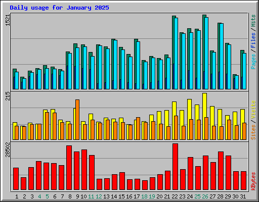 Daily usage for January 2025