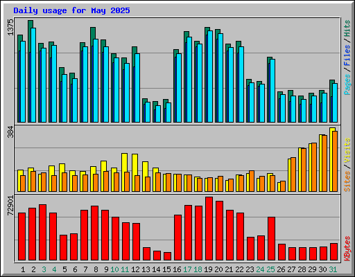 Daily usage for May 2025