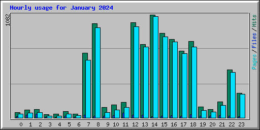 Hourly usage for January 2024