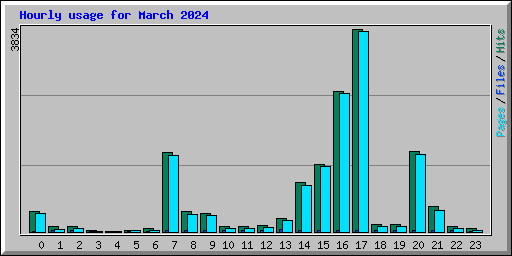 Hourly usage for March 2024