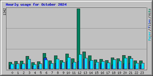 Hourly usage for October 2024