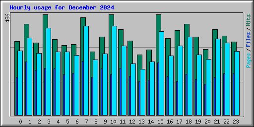 Hourly usage for December 2024