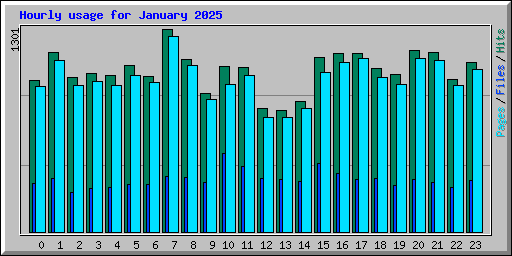 Hourly usage for January 2025