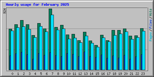 Hourly usage for February 2025