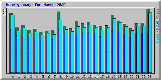 Hourly usage for March 2025