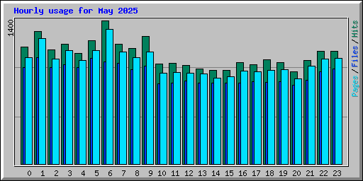 Hourly usage for May 2025