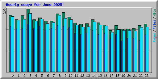 Hourly usage for June 2025