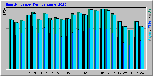 Hourly usage for January 2026